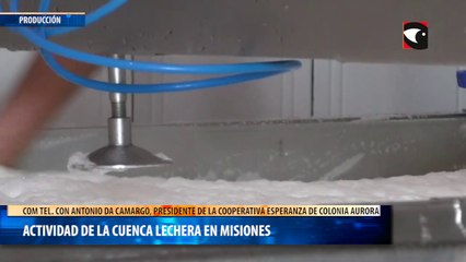 Actividad de la cuenca lechera en Misiones