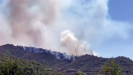 Marmaris'teki orman yangını 5. gününde