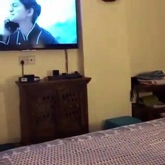 Cat enjoying TV  very attentively