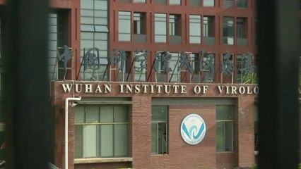 "코로나 직전 우한연구소 대규모 공사"...미, 中 기원설 재점화 / YTN