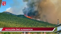 Alevlerin önü alınamıyor: Antalya’nın Gündoğmuş’un ilçe merkez tahliye ediliyor