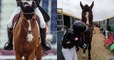 JO de Tokyo : grièvement blessé après une chute lors du cross-country, un cheval de l'équipe suisse a été euthanasié