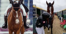JO de Tokyo : grièvement blessé après une chute lors du cross-country, un cheval de l'équipe suisse a été euthanasié
