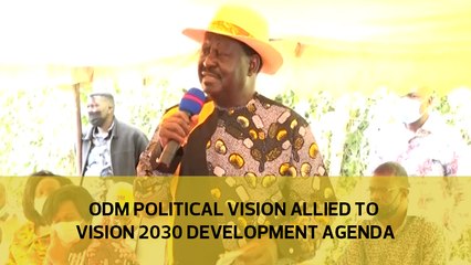 ODM political vision allied to Vision 2030 development agenda