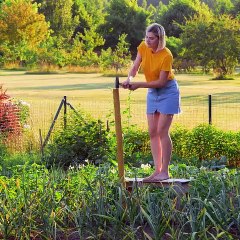 حيل لزراعة النباتات وأفكار لتنظيم الحديقة: