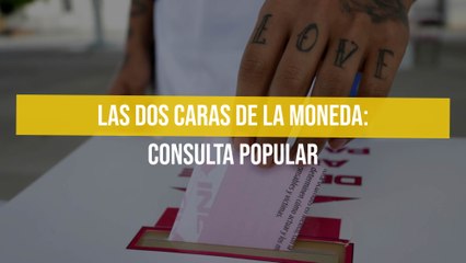 Las dos caras de la moneda: Consulta popular