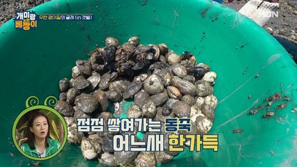 장윤정한테 미안하지만 박군X다니엘은 조개로 보여줌ㅋ 장윤정 스튜디오에서 대흥분?!