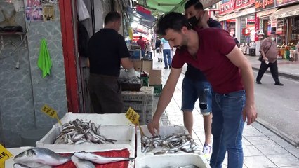 - Mezgit ve barbun tezgaha gelince balığa rağbet arttı