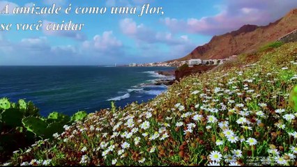 Download Video: Trailer vídeos 2022 - Trailer videos 2022 [Frases e Poemas - Quotes and Poems]