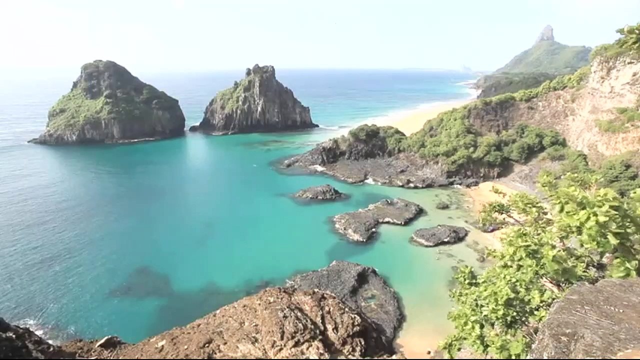 animais  vida  selvagem  natureza /  documentary wildlife animals nature  / animales fauna silvestre lnaturaleza.