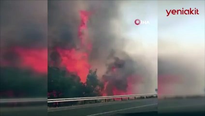 Patlayan kozalak alevleri yükseltti! Tehlikenin boyutu böyle görüntülendi