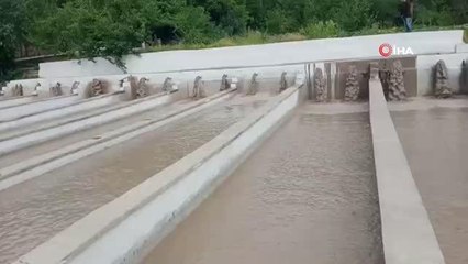 Son dakika... Hakkari'de alabalık tesisi selde zarar gördü
