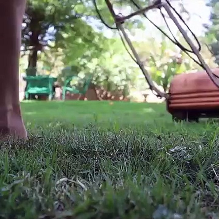 How 1960 model of electric lawn mower clean and  restoration  electric lawn mower