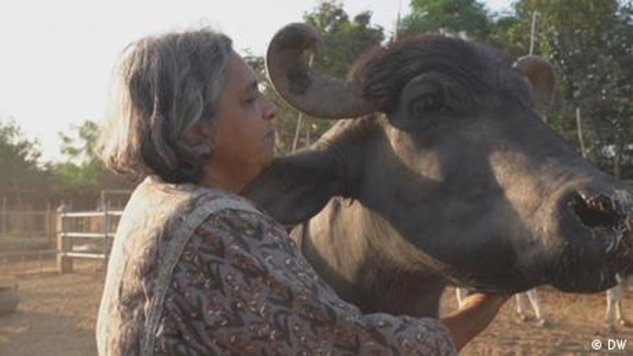 Indien: Ein Herz für Mensch und Tier