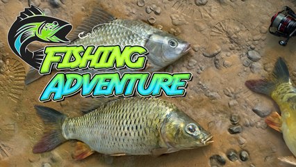 Fishing Adventure | Xbox Trailer (2021)