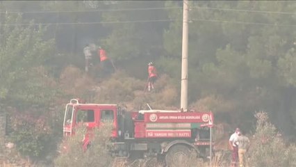 Los incendios no dan tregua en Turquía
