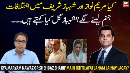 Kya Maryam Nawaz Or Shehbaz Sharif Main Ikhtilafat Janam Lainay Lagay?