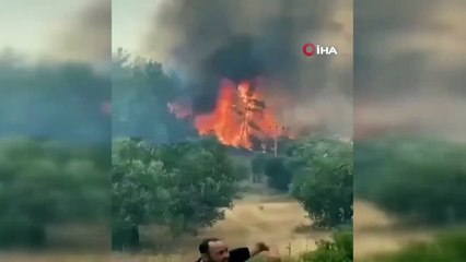 Her yer saniyeler içinde yandı: Patlayan kozalaklar yangını böyle büyüttü