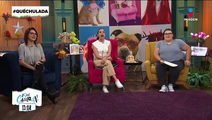 Virales: la maravilla de tener un perrito