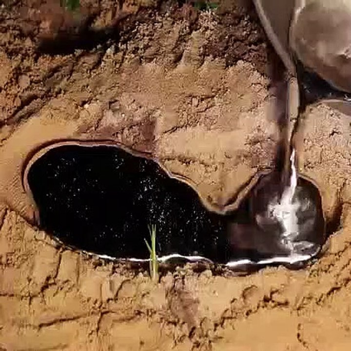 wow Largest Aluminum Fire Ant Colony Cast So Far diy minicraft  largest aluminum fire