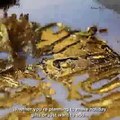 HOW TO MAKING CLASSIC GOLD LEAF GLASS SIGN -EAST MINICR ARFT  water gilding gold leaf