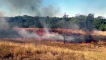 Fogo atinge grande área de vegetação no Jardim Veneza, em Cascavel