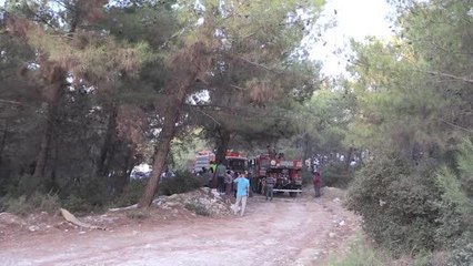 Çıkan orman yangını kontrol altına alındı