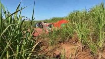 Avião agrícola cai em canavial de Umuarama, no distrito de Roberto Silveira