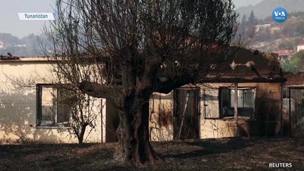 Yunanistan'daki Orman Yangınlarına Uçakla Müdahale