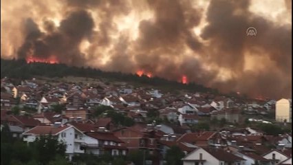 Kuzey Makedonya'da orman yangını