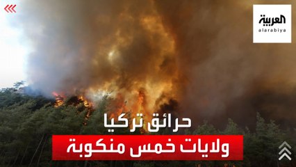 الحرائق تلتهم تركيا أمام أعين أردوغان.. والاتحاد الأوروبي يتدخل للإنقاذ