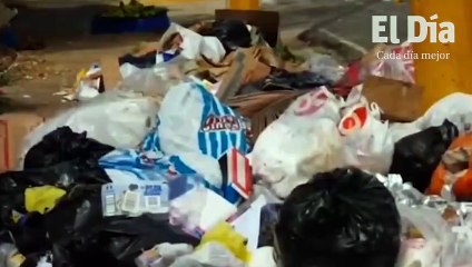 Productores de cerdos llenos de incertidumbre pese a compensación prometida por el Gobierno