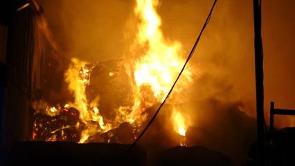 Tekirdağ'da geri dönüşüm fabrikasında yangın