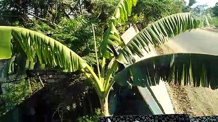 اجملThe most beautiful places of nature ا