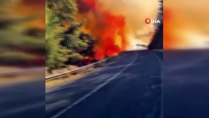 Yangın bölgesinde itfaiyecilerin ve vatandaşların ölüm kalım savaşı