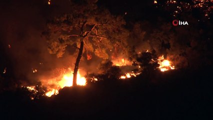 Büyükbaş hayvanlarını deniz kenarına getirerek korudular