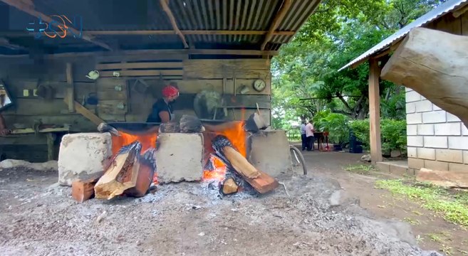 mqn-Guanacastecos comparten sus milagros gracias a Virgen de los Ángeles -020821