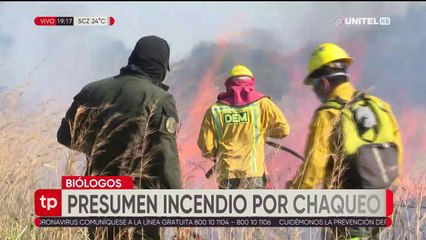 Más de 200 aves y 16 mamíferos y varida fllora fueron afectados por el incendio cerca de Viru Viru