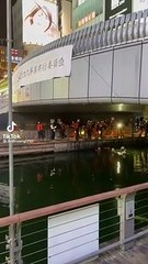 NGƯỜI VIỆT BỊ GIẾT TẠI CẦU EBISU OSAKA  #3