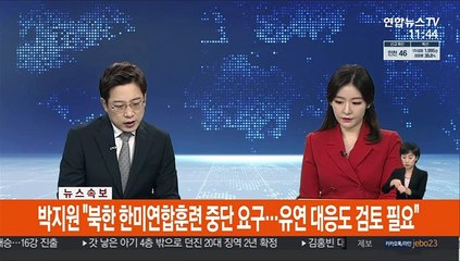 [속보] 박지원 "북한 한미연합훈련 중단 요구…유연 대응도 검토 필요"