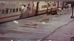 Telangana RPF Personnel Saves Woman From Falling Under Moving Train
