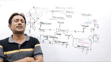 CBSE-12th Biology,Pollination in flowering plants,ms patel_HD