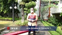 Ada Pidana Di Tes TWK KPK?(1) - AIMAN