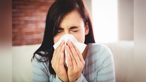 Allergy की समस्या बदलते मौसम में कभी नहीं होगी,बस खाने में इन 4 चीजों का करें सेवन । Boldsky