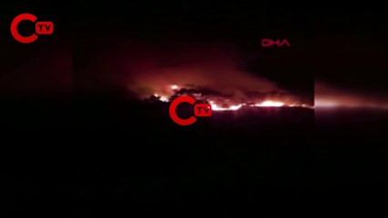 Milas'taki yangında 3'üncü gün; havadan müdahale yeniden başladı