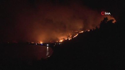 Büyükbaş hayvanlarını deniz kenarına getirerek korudular