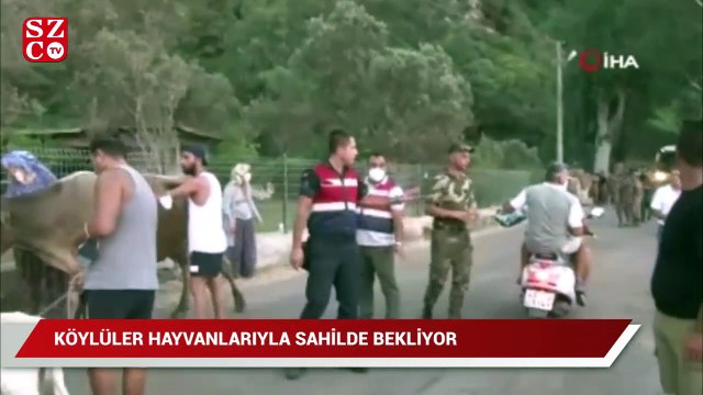 Alevlere teslim olan Marmaris’te göz yaşartan görüntüler