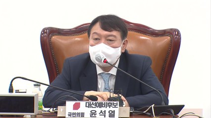 [더뉴스-더인터뷰] 尹 잇단 설화...野 "여의도 문법 익히는 중" 고심 / YTN