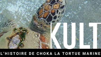 L’histoire de Choka la tortue marine