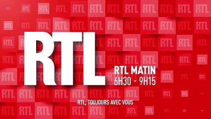 SPA : record d'abandon et refuges saturés